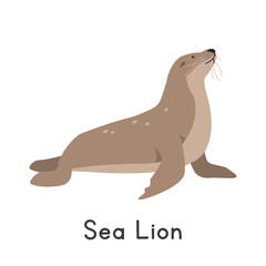 Sea lion vector illustration. Cute sea lion cartoon clipart, animal in flat style. Sea animals, underwater creatures, ocean animals, marine life concept. Sea lion vector design isolated on white