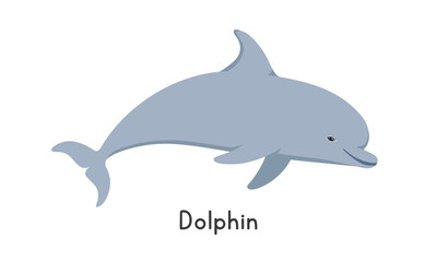 Obraz premium Bottlenose dolphin vector illustration. Cute dolphin cartoon clipart, animal in flat style. Sea animals, underwater creatures, ocean animals, marine life concept. Dolphin vector design