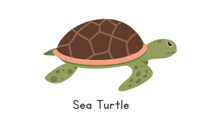 Sea turtle vector illustration. Cute sea turtle cartoon clipart, animal in flat style. Sea animals, underwater creatures, ocean animals, marine life concept. Sea turtle vector design isolated on white
