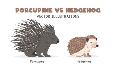 Porcupine and hedgehog comparison vector illustrations. Prickly porcupine vs hedgehog with sharp bristles cartoon clipart set in flat style. Wild animals concept