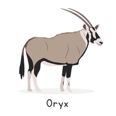 Oryx beisa vector illustration, cartoon clipart character, animal in flat style. Wild animals, wild creatures, wildlife concept. East African oryx vector design isolated on white background