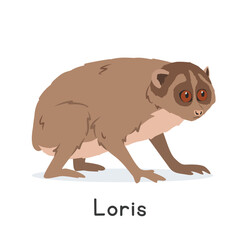 Loris vector illustration, cartoon clipart character, animal in flat style. Wild animals, wild creatures, wildlife concept. Slow loris vector design isolated on white background