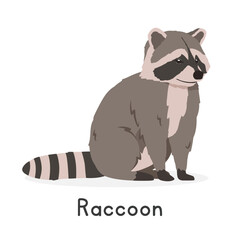 Common raccoon vector illustration, cartoon clipart character, animal in flat style. Wild animals, wild creatures, wildlife concept. Cute Northern raccoon vector design isolated on white