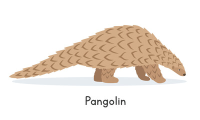 Giant pangolin vector illustration, cartoon clipart character, animal in flat style. Wild animals, wild creatures, wildlife concept. Pangolin vector design isolated on white background