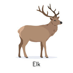 Elk or wapiti vector illustration, cartoon clipart character, animal in flat style. Wild animals, wild creatures, wildlife concept. Elk vector design isolated on white background
