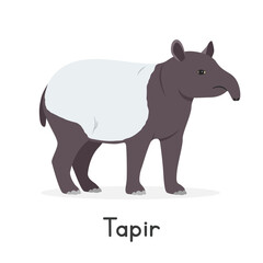 Obraz premium Malayan tapir vector illustration, cartoon clipart character, animal in flat style. Wild animals, wild creatures, wildlife concept. Tapir vector design isolated on white background