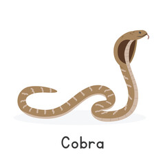 Cobra vector illustration, cartoon clipart character, animal in flat style. Wild animals, wild creatures, wildlife concept. Cobra vector design isolated on white background