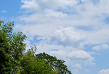 爽やかな梅雨明けの青空