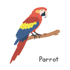 Scarlet macaw parrot perched on tree branch vector illustration, cartoon clipart character, animal in flat style. Wild animals, avian, birds concept. Colorful macaw vector design isolated