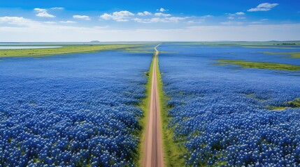 drone blue bonnet road