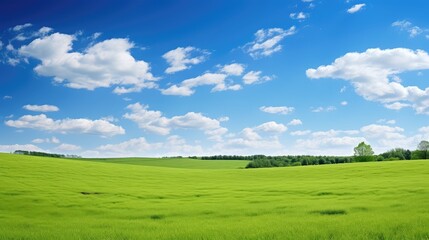 Fototapeta premium green blue sky over field