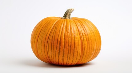 Obraz premium harvest pumpkin on white background