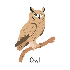 Great horned owl perched on tree branch vector illustration, cartoon clipart character, animal in flat style. Wild animals, avian, birds concept. Hoot Owl vector design isolated on white