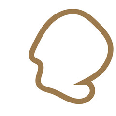 Neutral abstract shapes outlines vectors decorative 