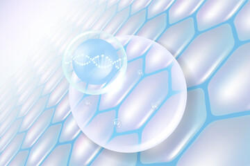 Hyaluronic acid and Niacinamide hair and skin solutions ad, blue collagen serum drops into skin cell with cosmetic advertising background ready to use, illustration vector.	