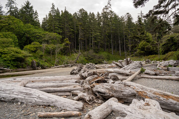 Pacific Ocean coast on a cold summer day, cloudy day on a rocky beach, Pacific Ocean coast in Washington state, near Seattle