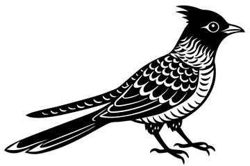 Cuckoo silhouette black linocut vector art illustration