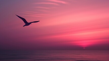 The silhouette of a solitary bird in flight against the gradient of a dawn sky