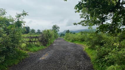A scenic rural road surrounded by lush greenery, captured during the monsoon season beneath a...