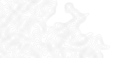 White wave paper curved reliefs abstract background black and white, Background of the topographic line map. Topographic map patterns abstract white topography vector background.