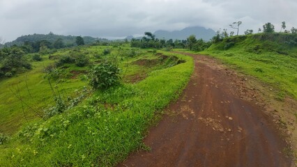 A scenic view of a muddy path cutting through a lush green meadow under a cloudy sky, capturing the essence of monsoon.