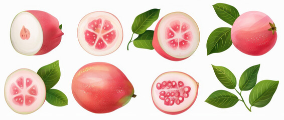 Vibrant guava composition in watercolor, showcasing the fruits unique shape and color, perfect for tropicalinspired designs.