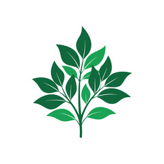 Obraz premium tree branch with leaves vector
