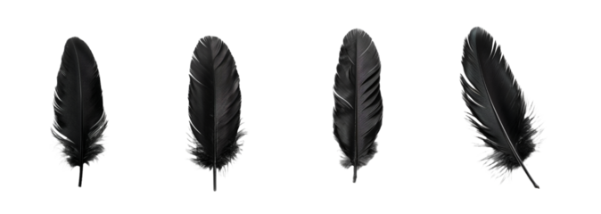 Collection of feather isolated on transparent background. Generated Ai