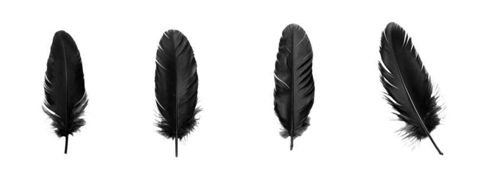 Collection of feather isolated on transparent background. Generated Ai