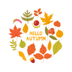 Obraz premium Hello autumn postcard. Autumn coming concept. Autumn leaves on white background