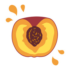 Sliced Fresh Peach Fruit Healthy Nutrition Vector Illustration