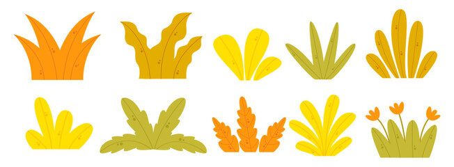 Cute Grass Illustration Set