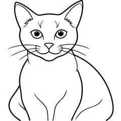 cat Vector