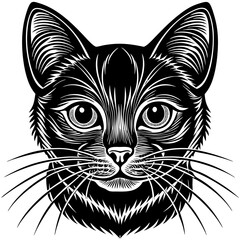 cat Vector