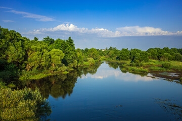A calm river with trees on both sides