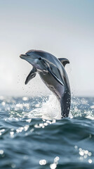 Playful Dolphin Leaping from Sparkling Waves Under Clear Sky: A Marvel of Marine Life and Nature's Beauty