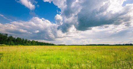 Obraz premium A field of grass with a cloudy sky in the background