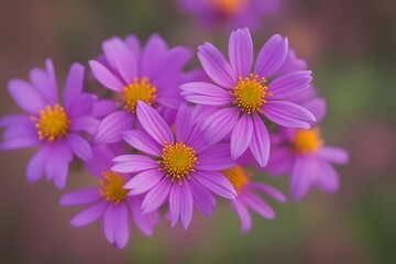Obraz premium Mexican aster flower bokeh background, AI Generated