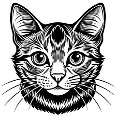 cat Vector