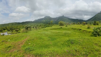 Fototapeta premium Serene Pathway through Lush Green Hills