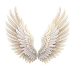 Vector white angel wings with soft feathers, perfect for love, tattoo, or design element
