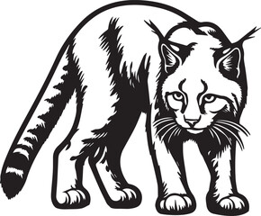 Bobcat silhouettes vector art illustration
