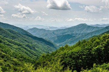 한여름의 울창한 숲과 많은 산,하늘.