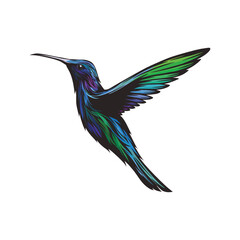 hummingbirds in full color style vector