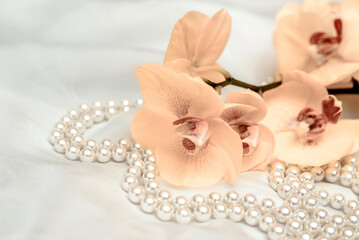 The branch of yellow orchids on white fabric background
