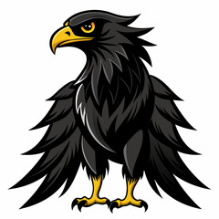 Obraz premium bald eagle isolated on white