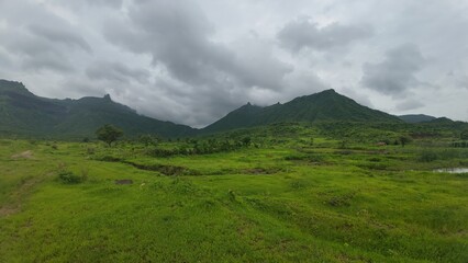 Fototapeta premium Scenic View of Green Meadow in the Sahyadri Mountain Range
