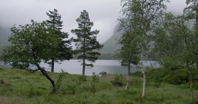 Summer in Norway. Beautiful valley Innerdalen, lake Innerdalsvatna and mountain Innerdalst&aring;rnet.