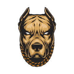 pit bull head in vector. suitable for logo t-shirt and many more