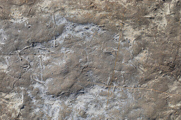 Sea-worn stone texture on a wild coastal beach.